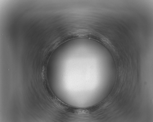 X0000055990073200508190806