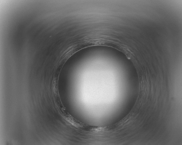 X0000055990092200508190806