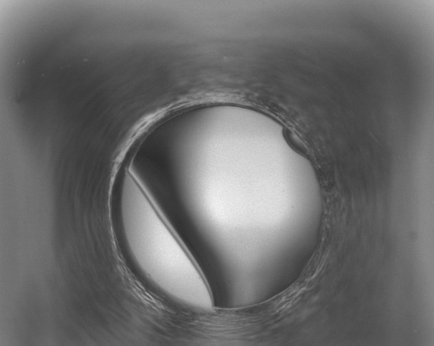 X0000055990104200508190806