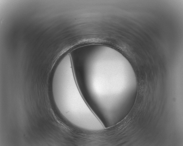 X0000055990111200508190806