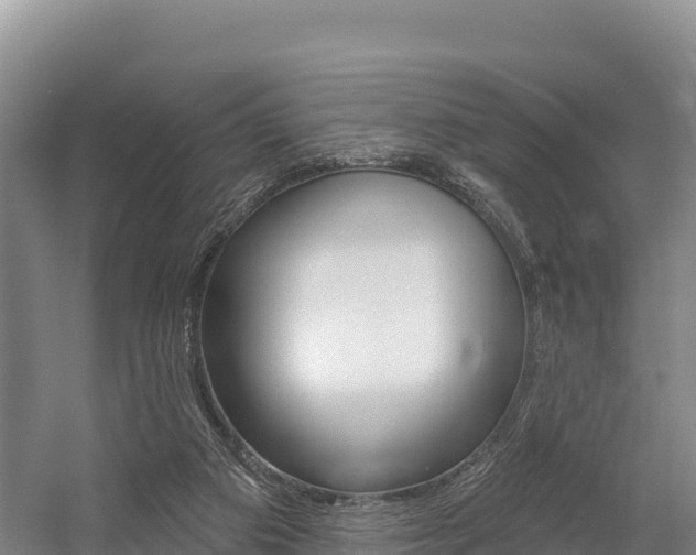 X0000055990113200508190805