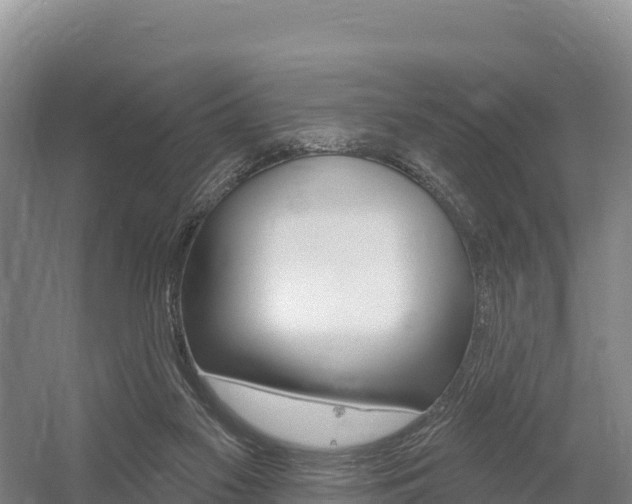 X0000055990117200508190805