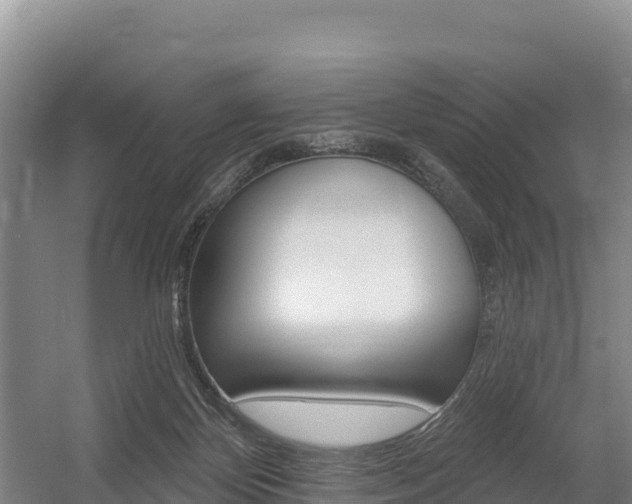 X0000055990124200508190805