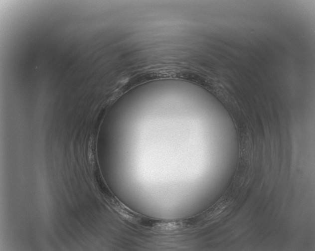 X0000055990131200508190805