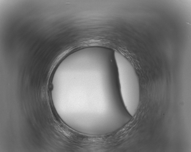 X0000055990147200508190804