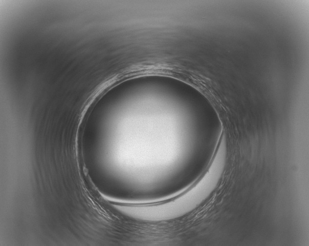 X0000055990148200508190804