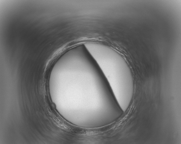 X0000055990149200508190804
