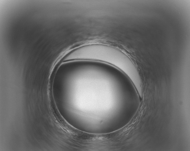 X0000055990152200508190804