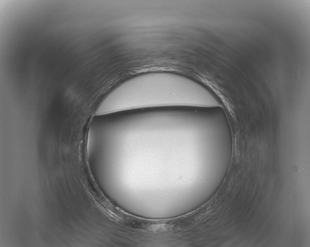 X0000055990153200508190804
