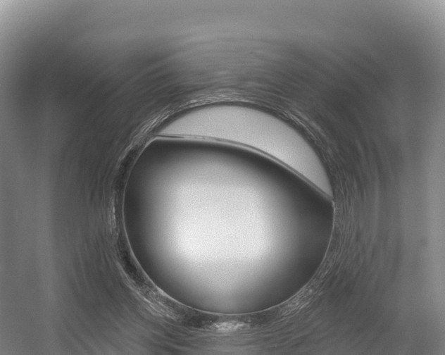X0000055990158200508190804