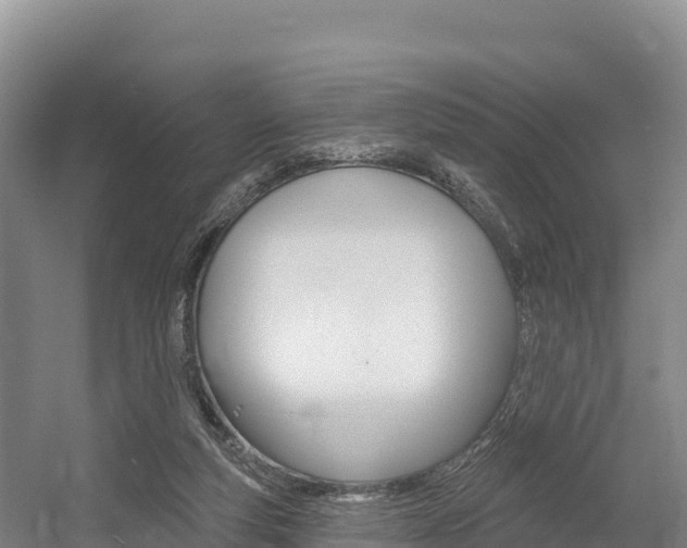 X0000055990163200508190804
