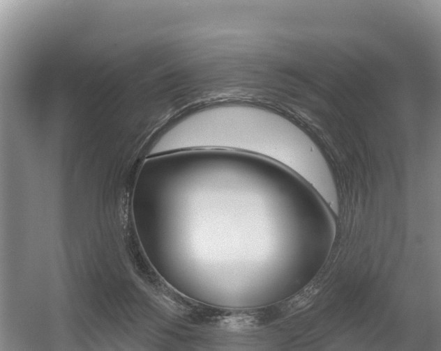 X0000055990168200508190805