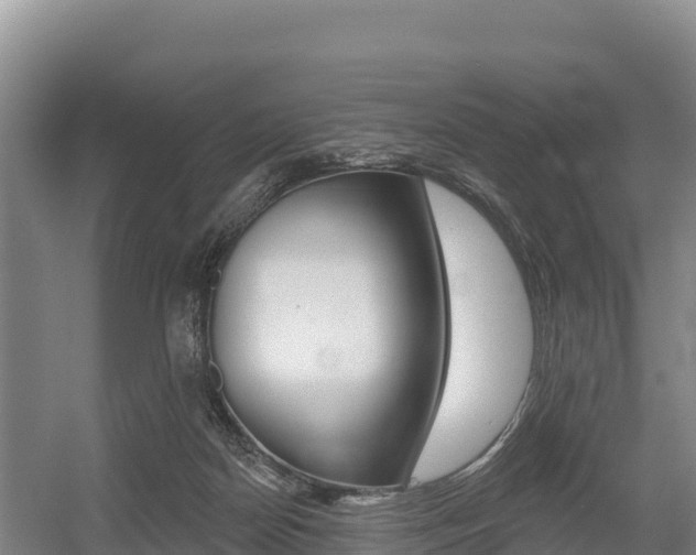 X0000055990170200508190805
