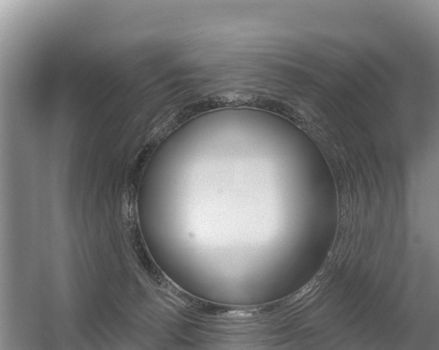 X0000055990176200508190805