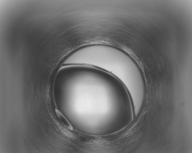 X0000055990201200508190804