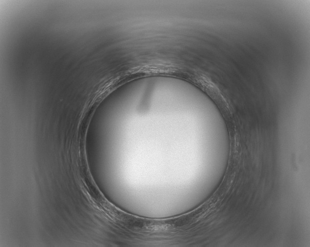 X0000055990202200508190804