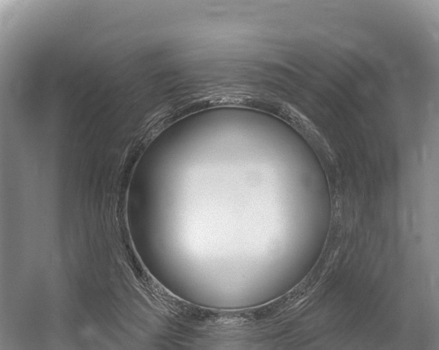 X0000055990209200508190804