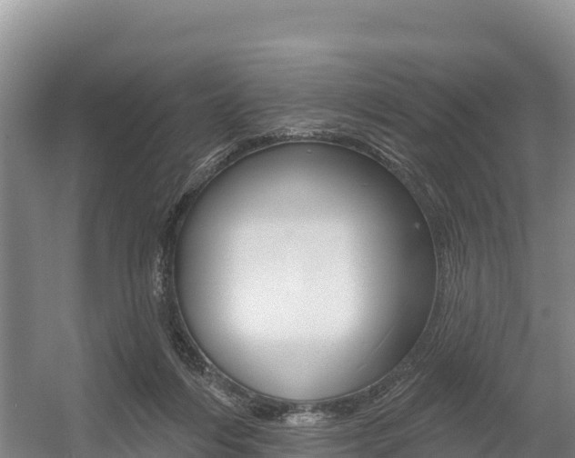 X0000055990216200508190804