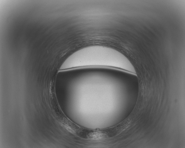 X0000055990219200508190804