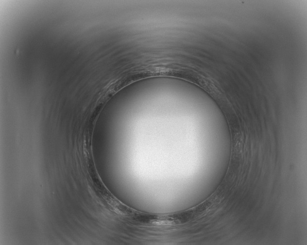X0000055990220200508190804