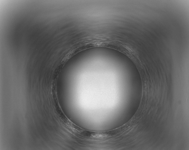 X0000055990221200508190804