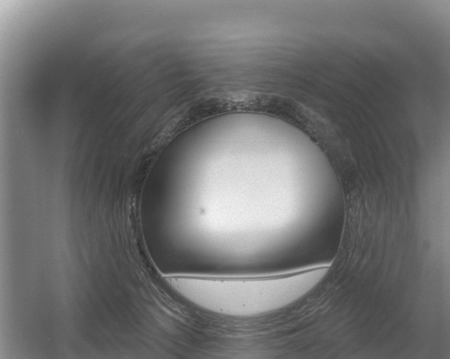 X0000055990225200508190804