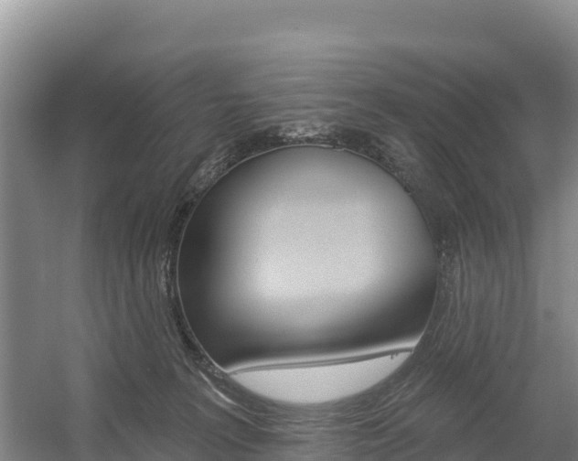 X0000055990227200508190804