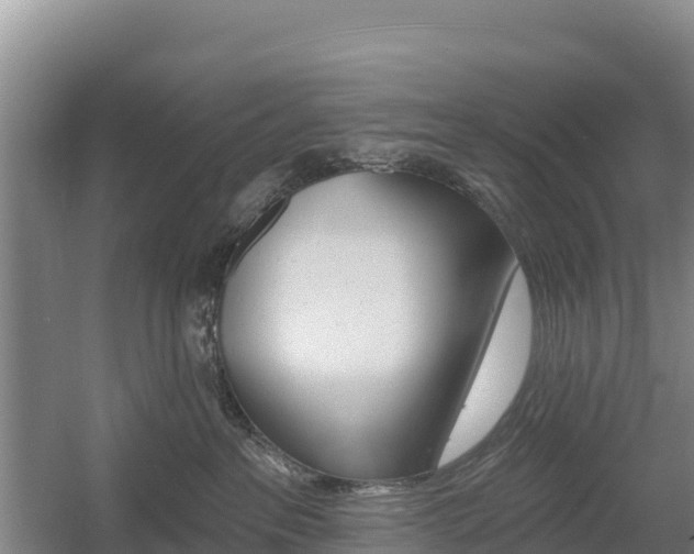 X0000055990237200508190803
