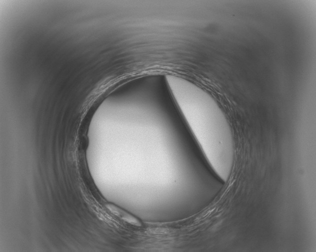 X0000055990242200508190803