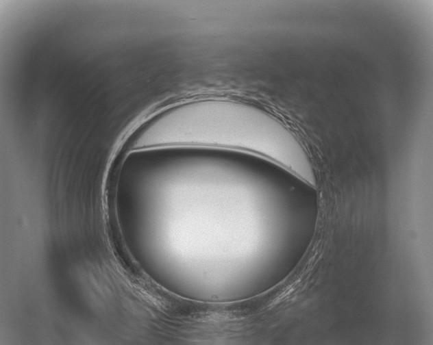 X0000055990246200508190803