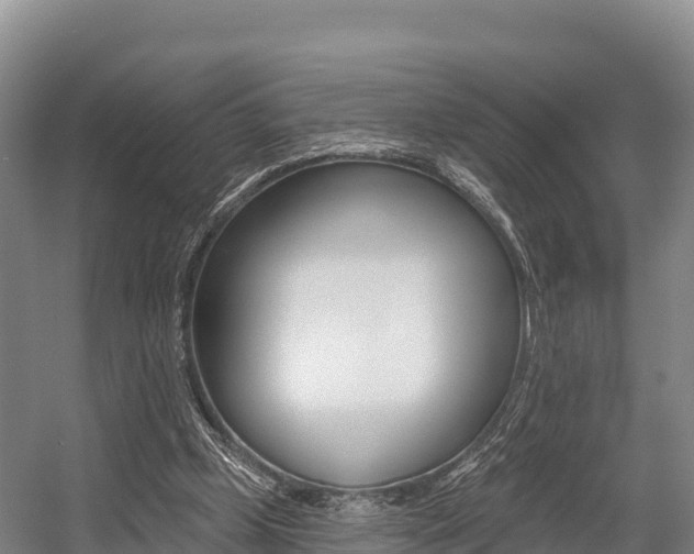 X0000055990249200508190803