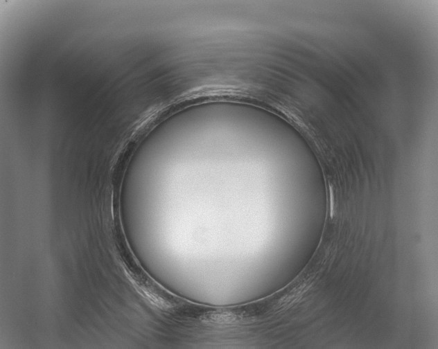 X0000055990253200508190803