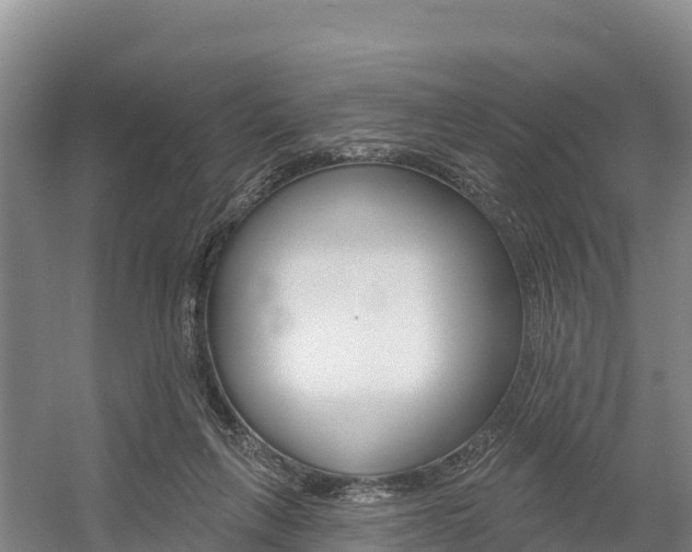 X0000055990263200508190803