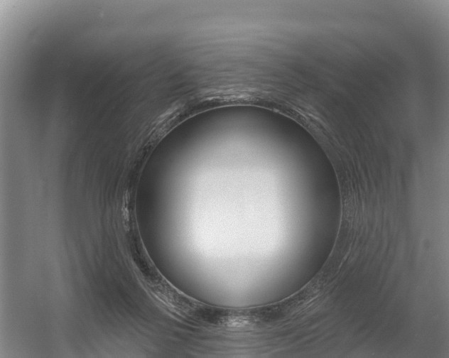 X0000055990264200508190803