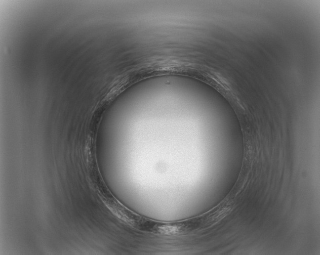 X0000055990265200508190803
