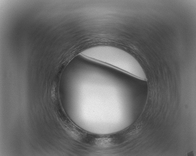 X0000055990266200508190803