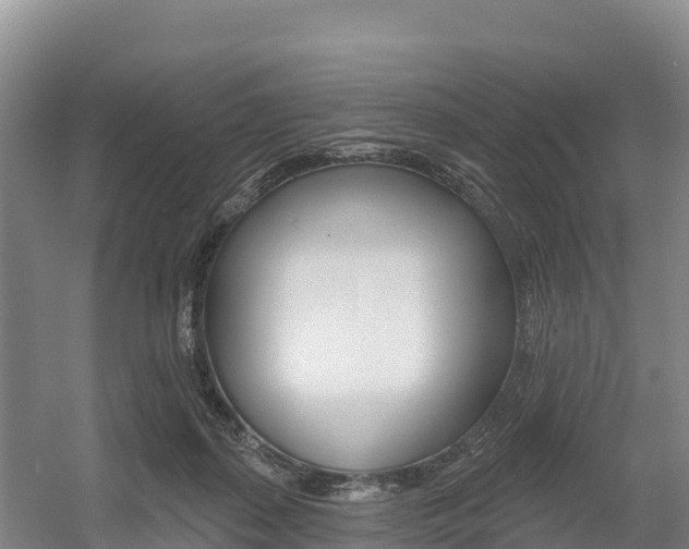 X0000055990267200508190803