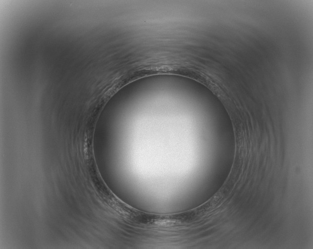 X0000055990268200508190803