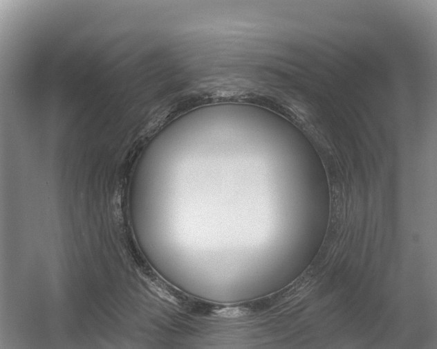 X0000055990269200508190803