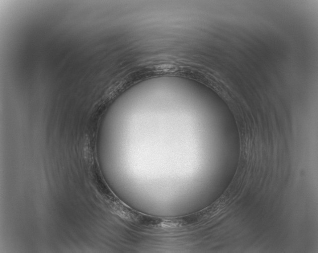 X0000055990270200508190803