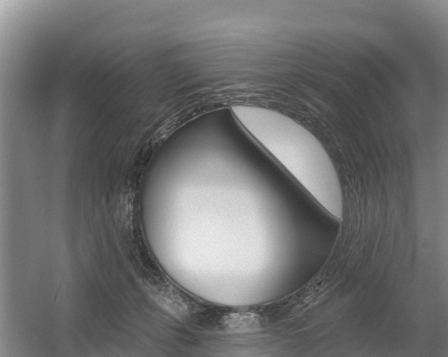 X0000055990271200508190803