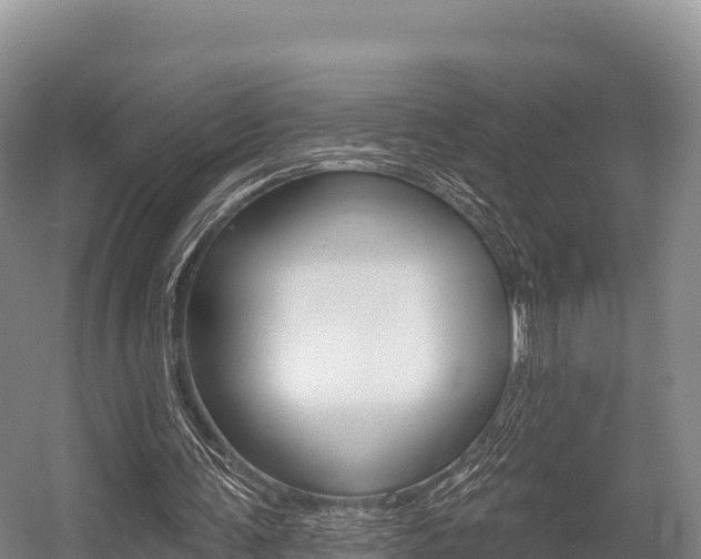 X0000055990291200508190802