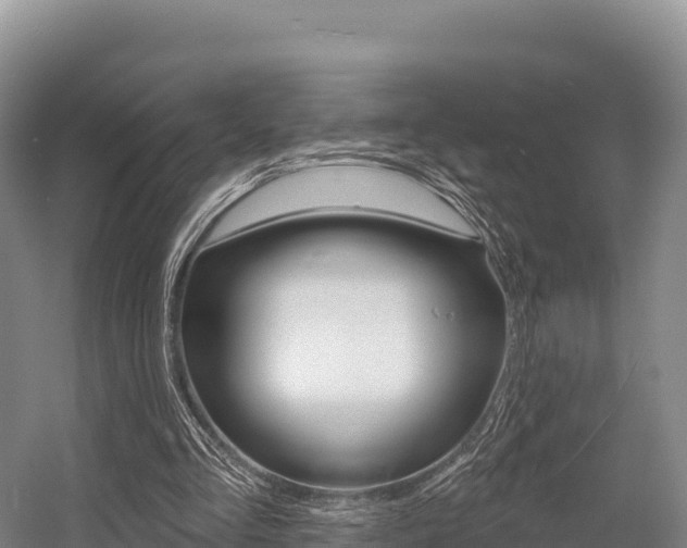 X0000055990293200508190802