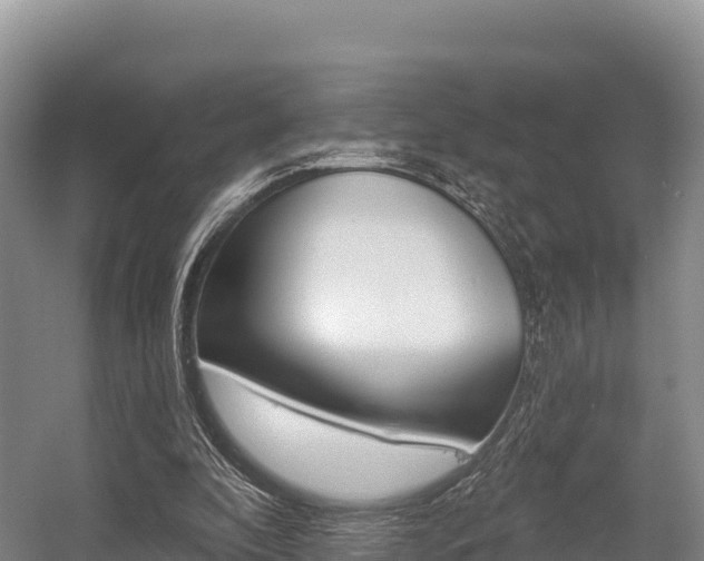 X0000055990296200508190802