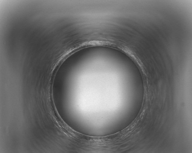 X0000055990297200508190802