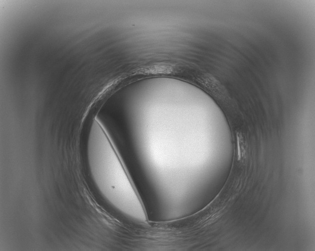 X0000055990300200508190802
