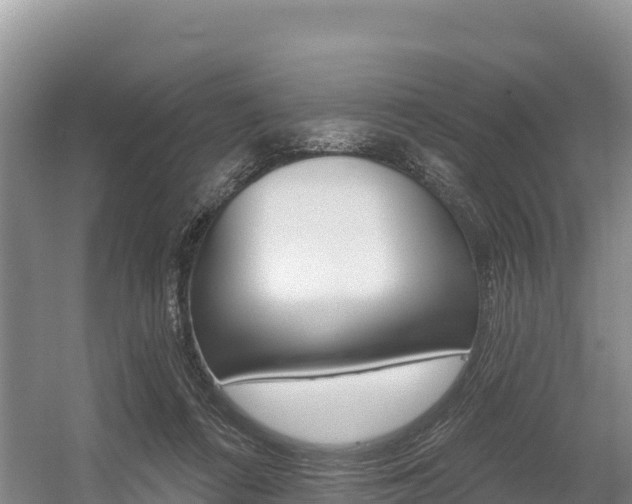 X0000055990312200508190802