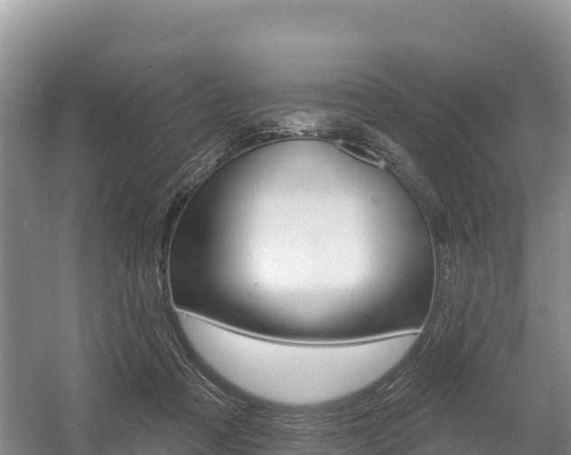 X0000055990313200508190802