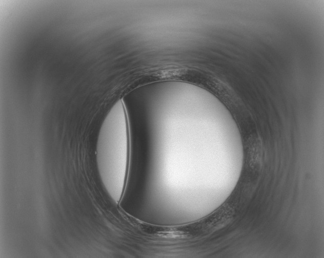 X0000055990316200508190802