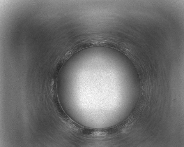 X0000055990319200508190802